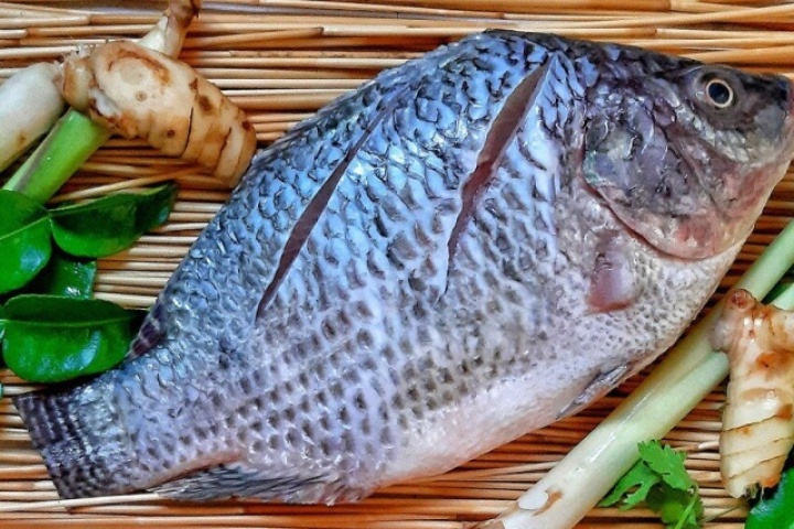 Loại cá bán đầy chợ Việt giá chỉ vài chục nghìn đồng/kg, được khen giàu protein hơn cá hồi