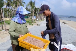 Nghề 'đi giật lùi' kiếm bộn tiền lúc sáng sớm