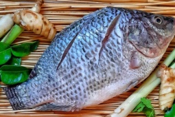 Loại cá bán đầy chợ Việt giá chỉ vài chục nghìn đồng/kg, được khen giàu protein hơn cá hồi