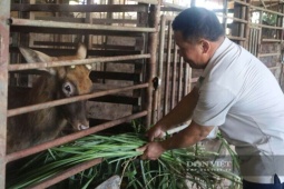 Đây là danh sách các con đặc sản bán tốt khiến một ông nông dân Thanh Hóa giàu hẳn lên
