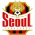 Trực tiếp bóng đá Thể Công Viettel - Seoul FC: Không có bàn danh dự (Cúp C2 châu Á) (Hết giờ) - 1