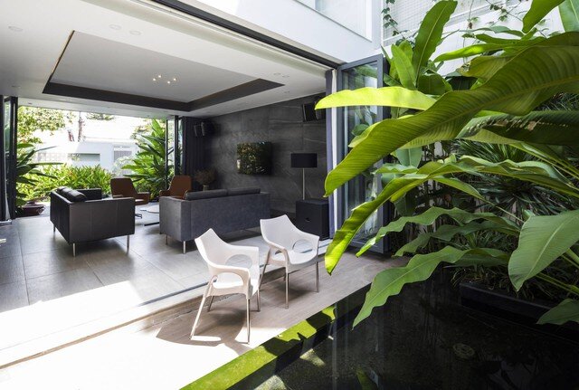 Vị trí đặt cây xanh giúp gia chủ thu hút vượng khí - 1