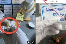 Mồi nhử tiền tỷ sau những phiên livestream khui ngọc trai