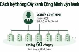Cách Nguyễn Công Minh dùng 60 công ty, 'quân xanh' để thâu tóm 1.218 dự án