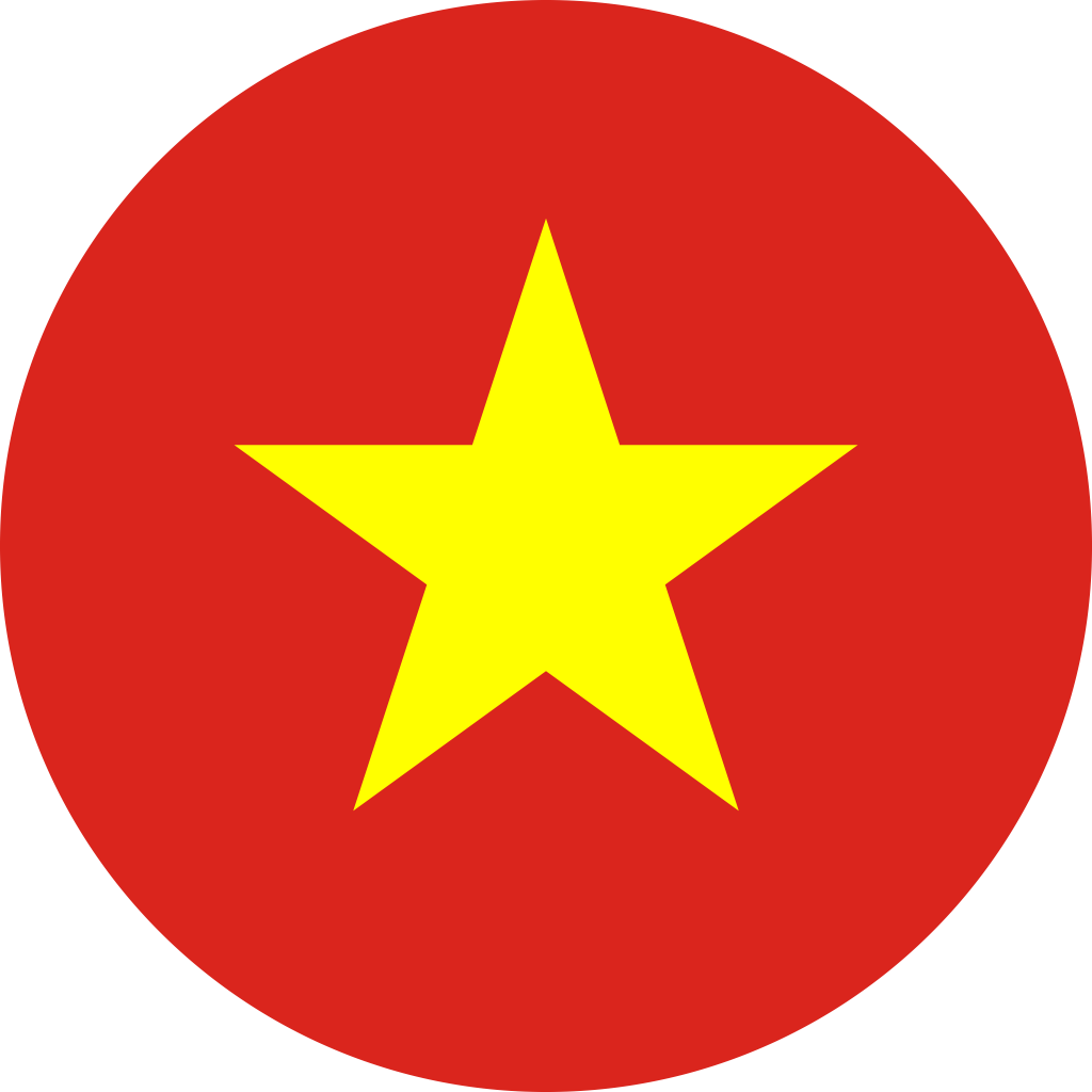 Lịch thi đấu Việt Nam